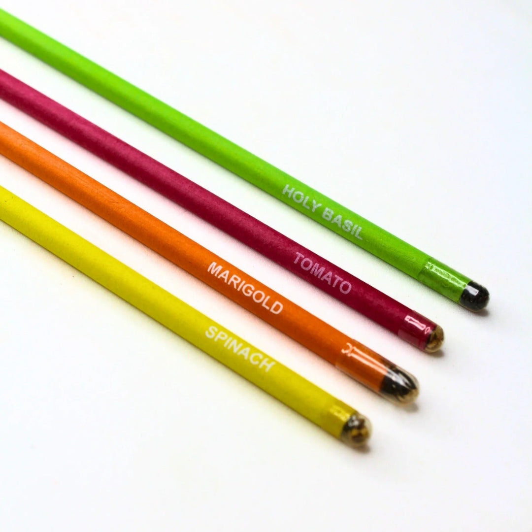 Seed Pencil (pack of 10 with Brown Tube)