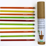 Seed Pencil (pack of 5 with Brown Tube)