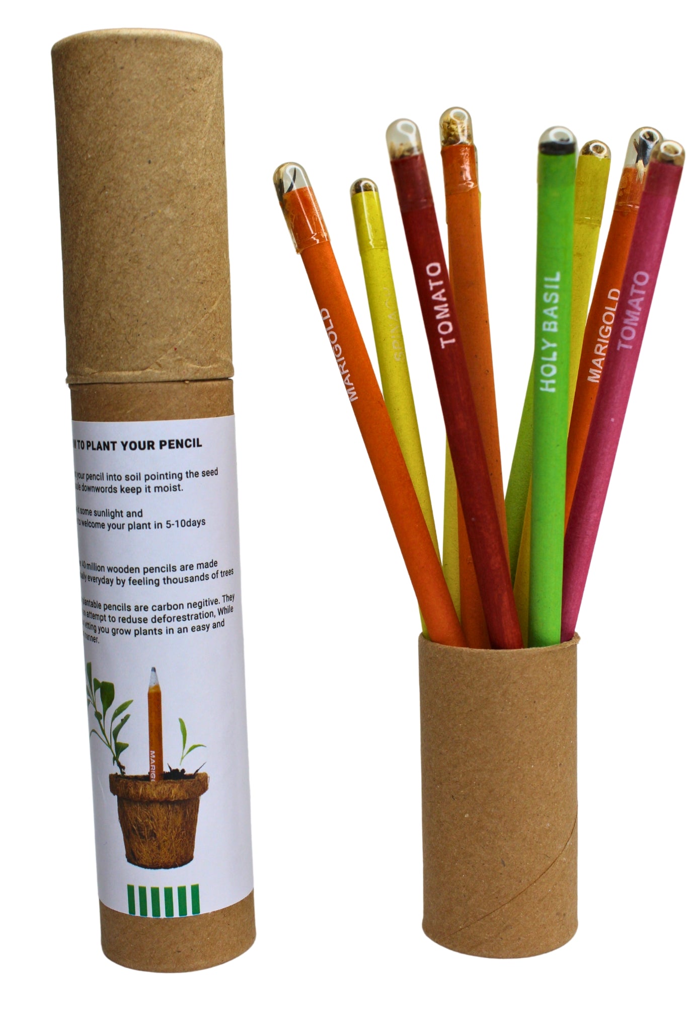 Seed Pencil (pack of 10 with Brown Tube)