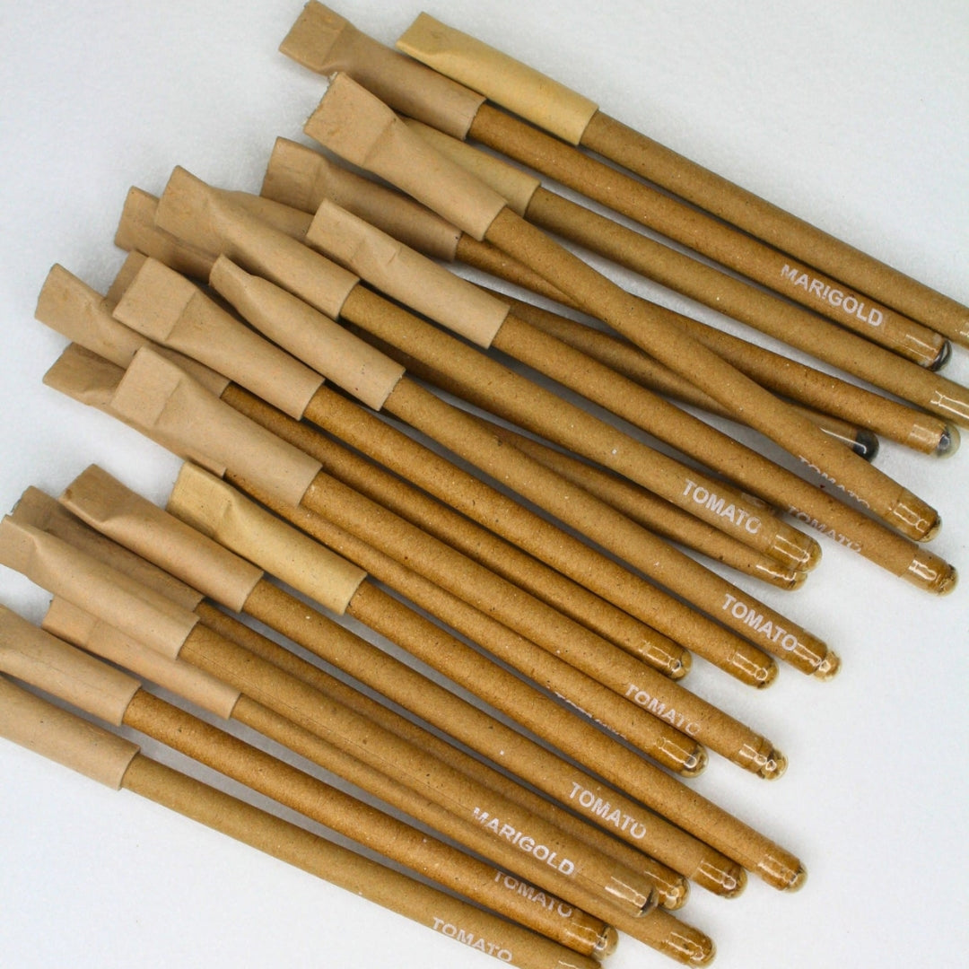 Seed Pen (pack of 70 with Brown Tube)