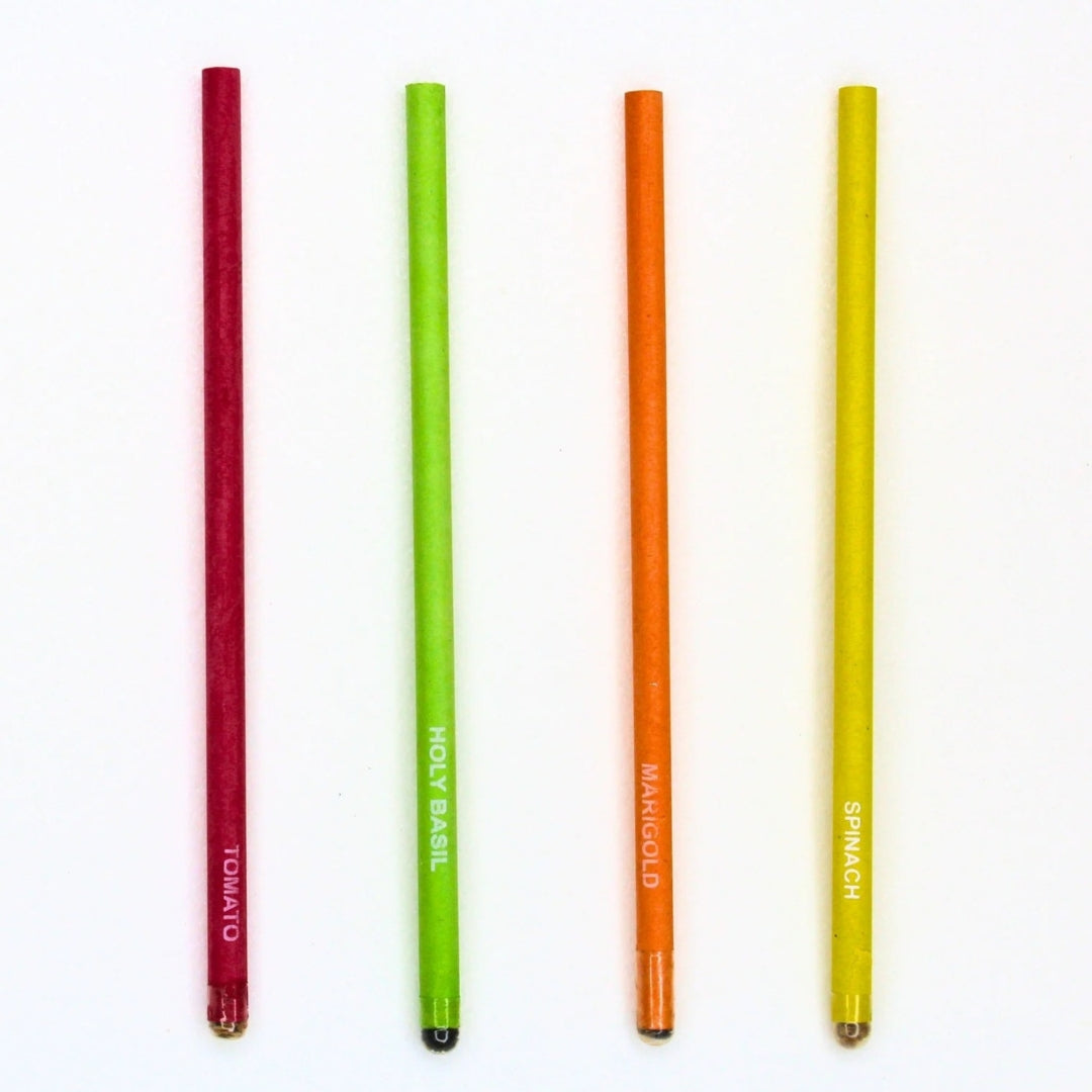 Seed Pencil (pack of 10 with Brown Tube)