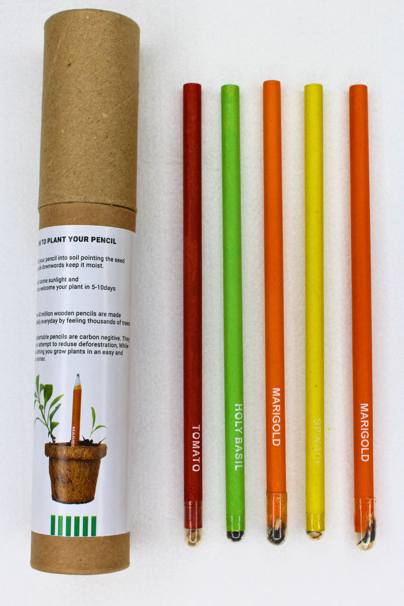 Seed Pencil (pack of 10 with Brown Tube)